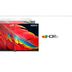 CHiQ L32M8TG, LED-Fernseher -Asus || HP || Digitus Verkäufe CHiQ L32M8TG LED Fernseher@@100015596 2