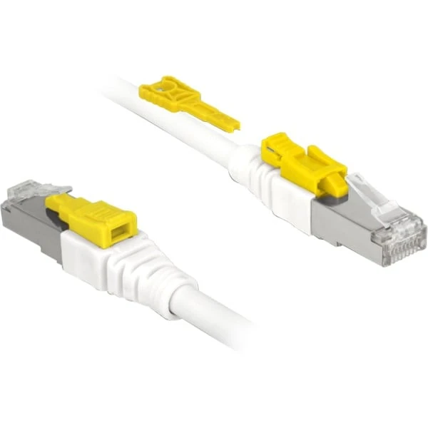 DeLOCK Patchkabel RJ45 Secure Cat.6a S/STP 3 DeLOCK Patchkabel RJ45 Secure Cat.6a S/STP