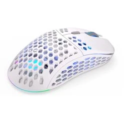 ENDORFY LIX Plus Onyx White Wireless, Gaming-Maus -Asus || HP || Digitus Verkäufe ENDORFY LIX Plus Onyx White Wireless Gaming Maus@@1878268 2