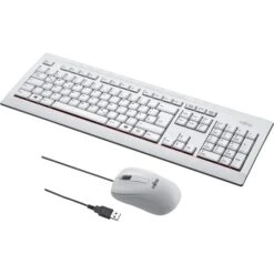 Fujitsu KB521 + M520, Desktop-Set