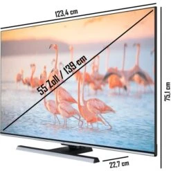 JVC LT-55VU8156, LED-Fernseher -Asus || HP || Digitus Verkäufe JVC LT 55VU8156 LED Fernseher@@1913741 2