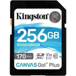 Kingston Canvas Go! Plus 256 GB SDXC, Speicherkarte -Asus || HP || Digitus Verkäufe Kingston Canvas Go Plus 256 GB SDXC Speicherkarte@@imir2p 30