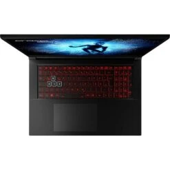 Medion ERAZER Defender P40 (30035492), Gaming-Notebook -Asus || HP || Digitus Verkäufe Medion ERAZER Defender P40 30035492 Gaming Notebook@@1913623 13
