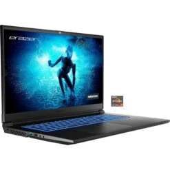 Medion ERAZER Deputy P25 (30034141), Gaming-Notebook