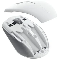 Razer Pro Click Mini, Maus 16 Razer Pro Click Mini, Maus -Asus || HP || Digitus Verkäufe Razer Pro Click Mini Maus@@1794937 5