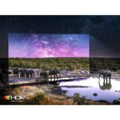 SAMSUNG GQ-75QN85B, QLED-Fernseher 15 SAMSUNG GQ-75QN85B, QLED-Fernseher -Asus || HP || Digitus Verkäufe SAMSUNG GQ 75QN85B QLED Fernseher@@1832278 5